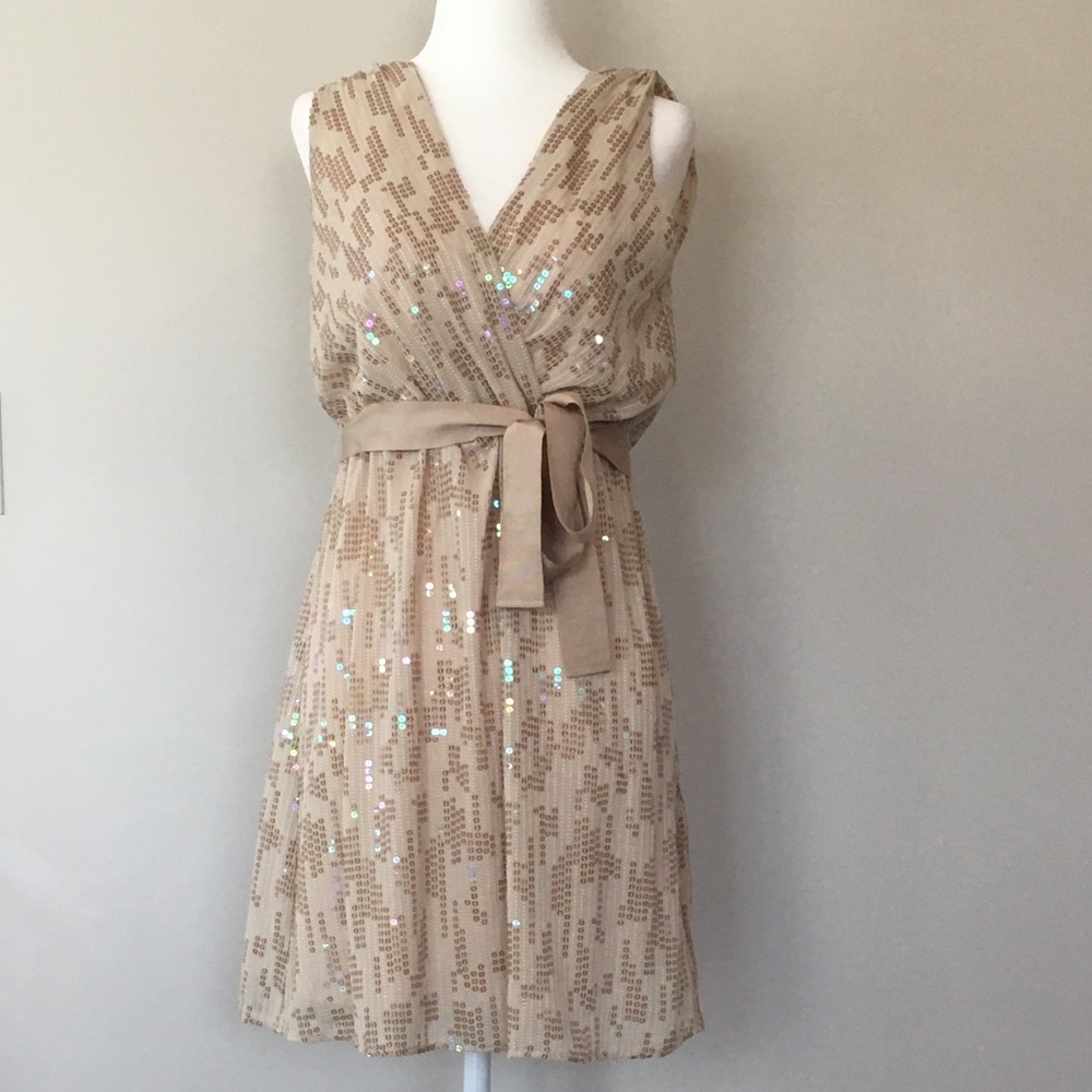 Gold Sequin Dress